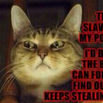 SUSPICIOUS CAT | WHY IS THAT HUMAN SLAVE STEALING MY POOP AGAIN? I'D BETTER CALL THE BOYS SO WE CAN FOLLOW HER & FIND OUT WHY SHE KEEPS STEALING MY POOP | image tagged in suspicious cat | made w/ Imgflip meme maker