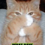 THAT FART | OH MY! WOW HUMAN THAT FART STINKS ON A NUCLEAR LEVEL! WHAT HAVE YOU BEEN EATING? | image tagged in that fart | made w/ Imgflip meme maker