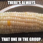 corn | THERE'S ALWAYS; THAT ONE IN THE GROUP. | image tagged in corn | made w/ Imgflip meme maker