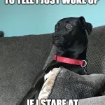 Just Woke Up | NO ONE WILL BE ABLE TO TELL I JUST WOKE UP; IF I STARE AT NOTHING INTENSELY | image tagged in just woke up | made w/ Imgflip meme maker