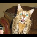 terrified pussy