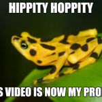 Hippity hoppity | HIPPITY HOPPITY; FADY'S VIDEO IS NOW MY PROPERTY | image tagged in hippity hoppity | made w/ Imgflip meme maker