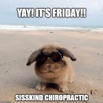 Yay! It's Friday!! | YAY! IT'S FRIDAY!! SISSKIND CHIROPRACTIC | image tagged in yay it's friday | made w/ Imgflip meme maker