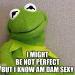 I might be not perfect | I MIGHT BE NOT PERFECT BUT I KNOW AM DAM SEXY | image tagged in kermit,sexy,memes,memes cartoon,dam sexy | made w/ Imgflip meme maker