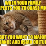 Follow your dreams.  It's the only way you'll know for sure. | WHEN YOUR FAMILY EXPECTS YOU TO CHASE MICE; BUT YOU WANT TO MAJOR IN DANCE AND ASIAN CULTURES | image tagged in first world cat problems,memes,family business,dance,expectations | made w/ Imgflip meme maker