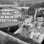 Dog on a roller coaster | JUST A REMINDER THAT YOU WILL NEVER BE DOG ON A ROLLER COASTER COOL | image tagged in dog on a roller coaster | made w/ Imgflip meme maker