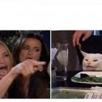 Woman shouting at cat meme