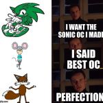 when i have to pick the best sonic oc i made | I WANT THE SONIC OC I MADE; I SAID BEST OC; PERFECTION | image tagged in perfection | made w/ Imgflip meme maker