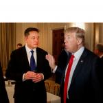 Trump and Elon Musk