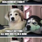 Dog jokes | WE'RE HAVING AN A/C SYSTEM REALIGNMENT TODAY! FINALLY GETTING ALL OUR DUCTS IN A ROW. | image tagged in dog jokes | made w/ Imgflip meme maker