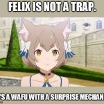 What a nice wife he'll make some likely man. | FELIX IS NOT A TRAP. HE'S A WAFU WITH A SURPRISE MECHANIC. | image tagged in trap felix | made w/ Imgflip meme maker