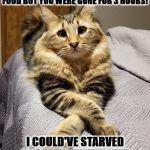 EXPLAIN YOURSELF | HUMAN YOU WERE SUPPOSED TO JUST GO TO THE STORE FOR MY FOOD BUT YOU WERE GONE FOR 3 HOURS! I COULD'VE STARVED TO DEATH! TAKE A SEAT AND EXPLAIN YOURSELF SLAVE! | image tagged in explain yourself | made w/ Imgflip meme maker