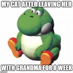 beeg BEEG CAT | MY CAT AFTER LEAVING HER; WITH GRANDMA FOR A WEEK | image tagged in big yoshi | made w/ Imgflip meme maker
