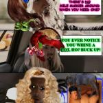 Road Trip | image tagged in road trip | made w/ Imgflip meme maker