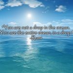 ocean | "You are not a drop in the ocean. 
You are the entire ocean, in a drop."

-Rumi | image tagged in ocean,rumi,inspirational quote | made w/ Imgflip meme maker