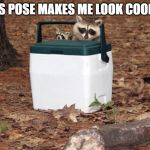 Racoons on a cooler | THIS POSE MAKES ME LOOK COOLER! | image tagged in racoons on a cooler | made w/ Imgflip meme maker