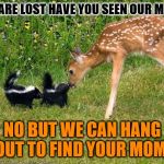 we are lost | WE ARE LOST HAVE YOU SEEN OUR MOM. NO BUT WE CAN HANG OUT TO FIND YOUR MOM | image tagged in deer and skunks,that moment when,deer,memes,cute animals | made w/ Imgflip meme maker