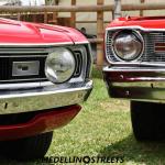 Pulguero Automotor AMC