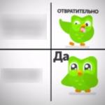 Drake Hotline Bling (Duolingo version) meme