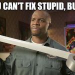Terry Crews Duct Tape | YOU CAN'T FIX STUPID, BUT ... | image tagged in terry crews duct tape | made w/ Imgflip meme maker