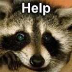 help | Help | image tagged in help | made w/ Imgflip meme maker