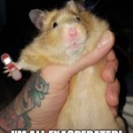 hamster with phone | TEXT ME ASAP! I'M ALL EXASPERATED! | image tagged in hamster with phone | made w/ Imgflip meme maker