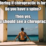 Do you have a spine? | Wondering if chiropractic is for you? Do you have a spine? Then yes. You should see a chiropractor. | image tagged in do you have a spine | made w/ Imgflip meme maker