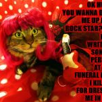 ROCK STAR KITTY | I WILL WRITE THE SONG I'LL PERFORM AT YOUR FUNERAL AFTER I KILL YOU FOR DRESSING ME IN THIS! OK HUMAN YOU WANNA DRESS ME UP LIKE A ROCK STAR? FINE! | image tagged in rock star kitty | made w/ Imgflip meme maker