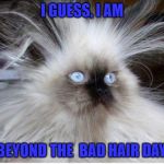 Frazzled over politics | I GUESS, I AM; BEYOND THE  BAD HAIR DAY.. | image tagged in frazzled over politics | made w/ Imgflip meme maker