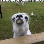 Llama weird face  | WHEN I SEE A BACK TO SCHOOL COMMERCIAL | image tagged in llama weird face | made w/ Imgflip meme maker