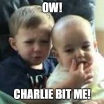 Charlie Bit My Finger | OW! CHARLIE BIT ME! | image tagged in charlie bit my finger | made w/ Imgflip meme maker