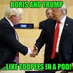 Trump boris johnson | BORIS AND TRUMP; ...LIKE TOUPEES IN A POD! | image tagged in trump boris johnson | made w/ Imgflip meme maker