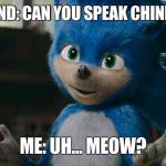 Sonic movie meow | FRIEND: CAN YOU SPEAK CHINESE? ME: UH... MEOW? | image tagged in sonic movie meow | made w/ Imgflip meme maker