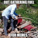 Meme Fuel | OUT GATHERING FUEL; FOR MEMES | image tagged in woman,gathering,wood,logs,meme,fuel | made w/ Imgflip meme maker