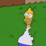 Homer Coming Out Of Bush GIF Template