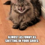 Bad joke cat | HEY KAREN, THAT LASER POINTER IS REAL FUNNY. ALMOST AS FUNNY AS SHITTING IN YOUR SHOES. | image tagged in bad joke cat | made w/ Imgflip meme maker