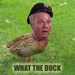 Skipper Duck | WHAT THE DUCK | image tagged in skipper duck | made w/ Imgflip meme maker