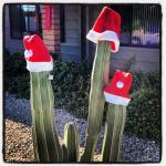 Xmas in July az style