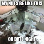 bald cat | MY NUTS BE LIKE THIS; ON DATE NIGHT | image tagged in bald cat | made w/ Imgflip meme maker