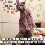 What did you say? | WHEN I HEAR MY COLLEAGUES MENTION MY NAME IN THE OTHER SIDE OF THE OFFICE | image tagged in what did you say | made w/ Imgflip meme maker