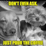 Sleepy dogs | DON'T EVEN ASK, JUST POUR THE COFFEE | image tagged in sleepy dogs | made w/ Imgflip meme maker