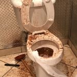 Wtf? | SO YOU THINK THAT YOU ARE HAVING A BAD DAY? SOMEONE HAD TO CLEAN THIS! | image tagged in wtf | made w/ Imgflip meme maker