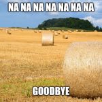 Hay bale | NA NA NA NA NA NA NA; GOODBYE | image tagged in hay bale | made w/ Imgflip meme maker