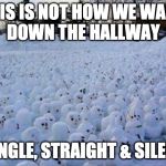 Million Snowman March | THIS IS NOT HOW WE WALK 
DOWN THE HALLWAY; SINGLE, STRAIGHT & SILENT | image tagged in million snowman march | made w/ Imgflip meme maker