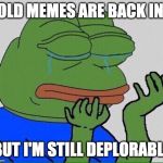 crying pepe | OLD MEMES ARE BACK IN. BUT I'M STILL DEPLORABLE | image tagged in crying pepe | made w/ Imgflip meme maker