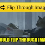 Click the Flip Button | I SHOULD FLIP THROUGH IMAGES | image tagged in gifs,imgflip,flip button | made w/ Imgflip video-to-gif maker