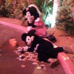 Disneybums