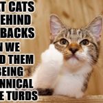 WHAT CATS DO | WHAT CATS DO BEHIND OUR BACKS; WHEN WE SCOLD THEM FOR BEING TYRANNICAL LITTLE TURDS | image tagged in what cats do | made w/ Imgflip meme maker