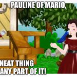 P and m | PAULINE OF MARIO, NEAT THING FOR ANY PART OF IT! | image tagged in p and m | made w/ Imgflip meme maker