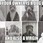 The many faces of a dog | WHEN YOUR OWNER IS A DOG LOVER; AND ALSO A VIRGIN | image tagged in the many faces of a dog | made w/ Imgflip meme maker